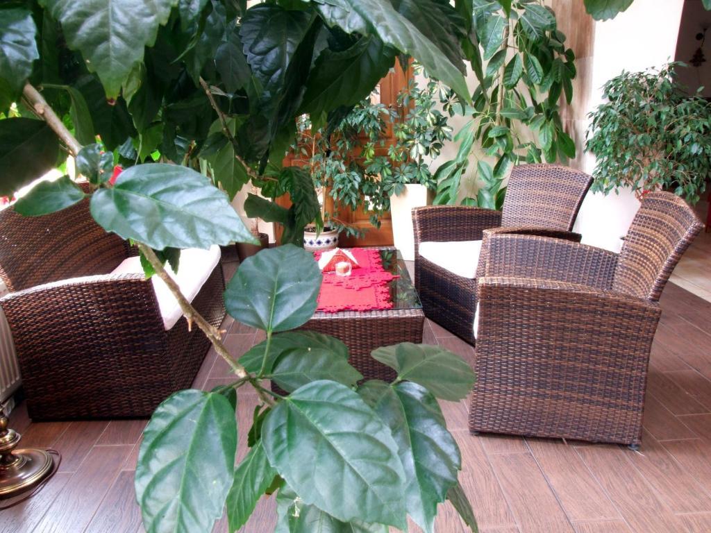 Motel Zacisze Łomża Exteriör bild